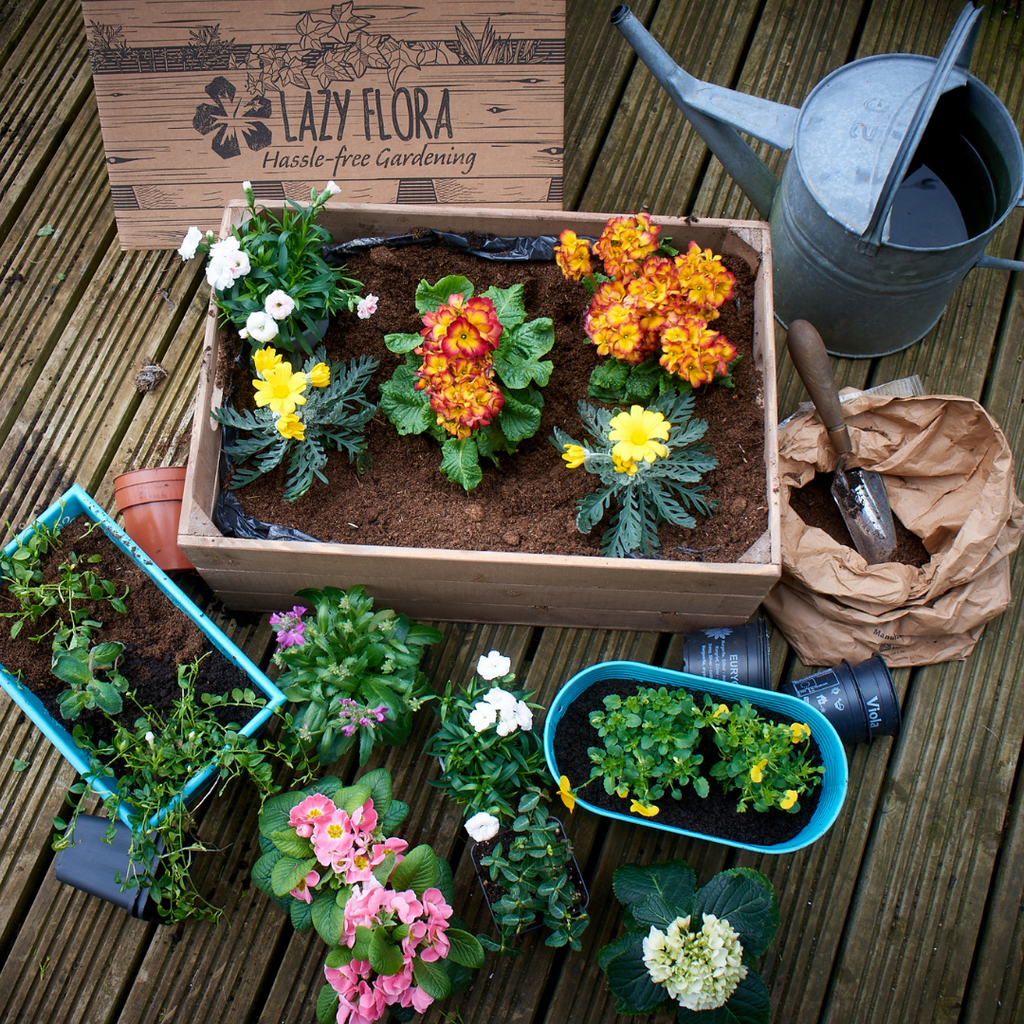 Six ways Lazy Flora makes gardening easy (even for beginners)
