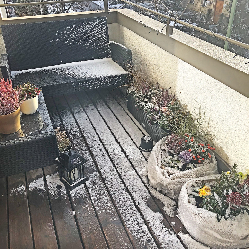 Protecting plants from snow