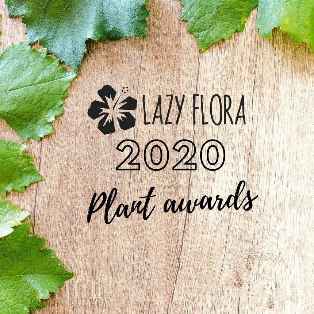 Lazy Flora plant awards of 2020