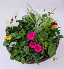 Hanging Basket subscription - 12 month pre-pay