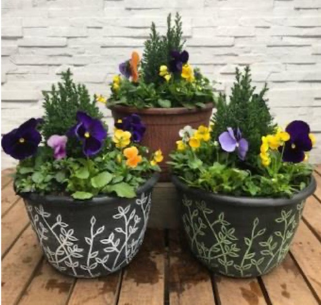 Pre-planted Seasonal Planters subscription - 6 month pre-pay